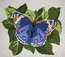 Бабочка (вышивала Алеся)